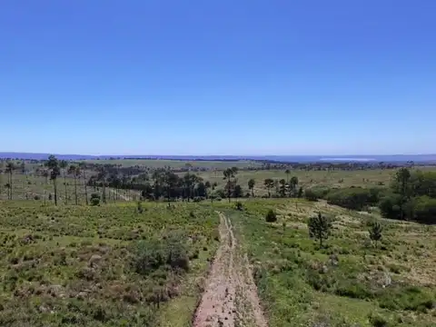 GRAN FRACCION  15 H C/LOTEO APROBADO VILLA YACANTO