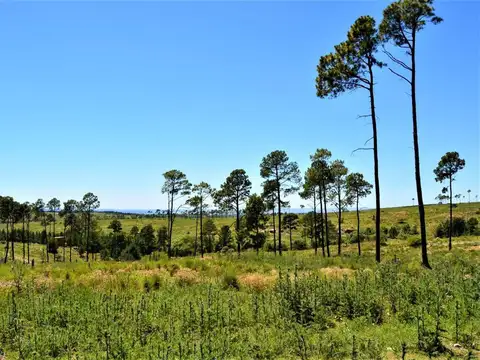 LOTEO LAS BAGUALAS VILLA YACANTO, CALAMUCHITA
