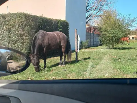 Terreno en Venta 39  mts Fondo