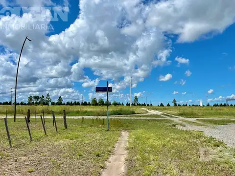 Terreno en Venta 29  mts Fondo