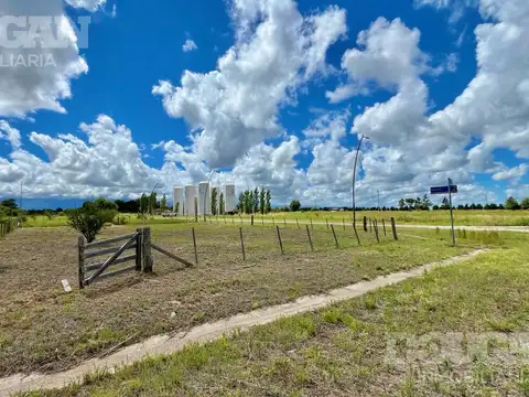 Estación Conlara (Aromos & Husillos)