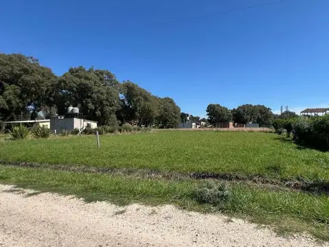El Cardenal