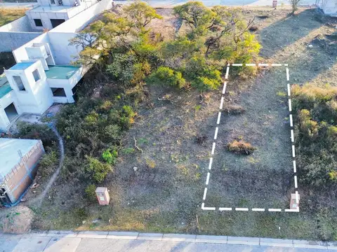 Las alpacas Manzana 1555 lote 7