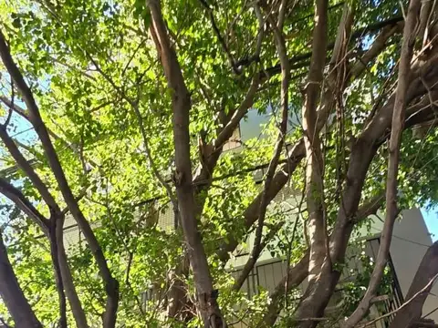 Baldomero Fernández Moreno, Buenos Ainos Aires, Argentina 1573 PB 100