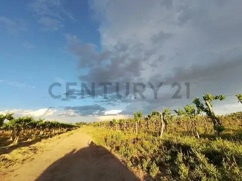 Terreno en Venta de 4,0 m2