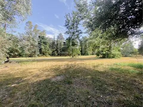 Terreno en Venta 40  mts Fondo