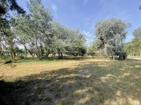 Terreno en Venta 20  mts Frente
