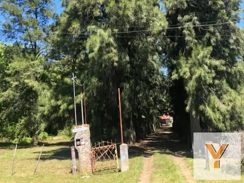 Quinta en venta - 3 Dormitorios 1 Baño - Cochera - 7.872Mts2 - Punta Indio
