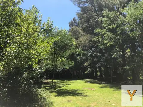 Quinta en Venta en Veronica, USD 100.000