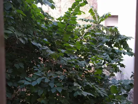 Departamento en Venta 60 años