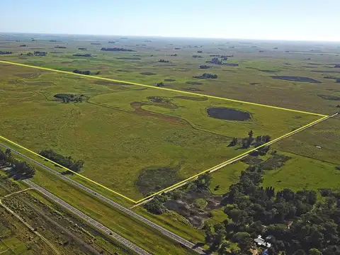 Coronel Vidal - 251 has sobre autovía 2.