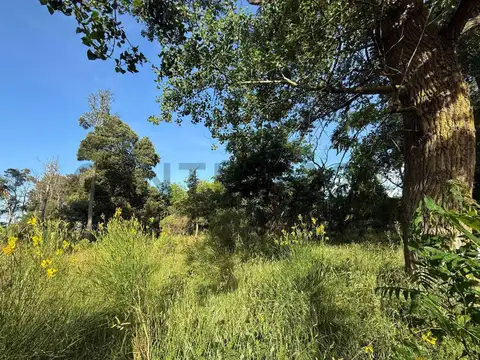 Terreno en Venta 20  mts Frente