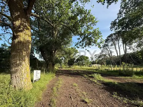 Terreno en Venta en Mar del Plata, USD 10.000