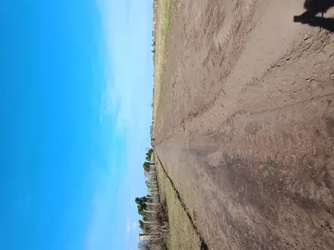 Terreno en Venta de 594,85 m2