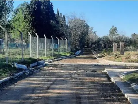 Lote Zelaya 2