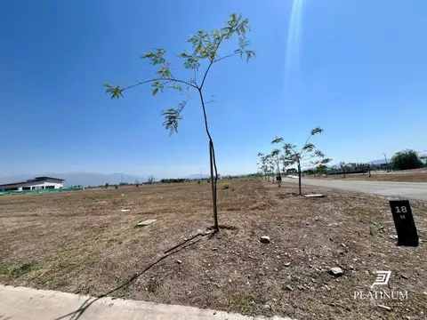 Terreno en Venta 36  mts Fondo