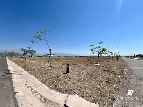 Terreno en Venta 20  mts Frente