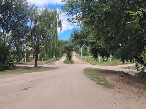 Manzana 180, Lote 100