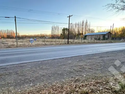 Terreno en Alquiler en Plottier, $ 3.300.000