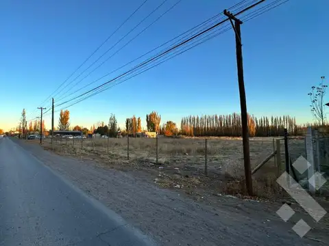 Terreno en Alquiler en Plottier, $ 3.300.000