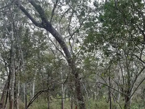 Terreno en Venta en Paso De La Patria, USD 58.000