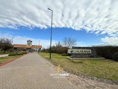 Causana