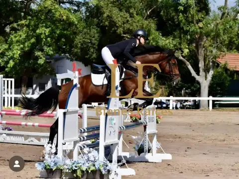 San Sebastian 100