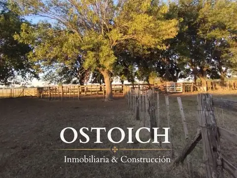 77 has, Santa Lucía