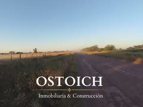 77 HAS EN VENTA - Santa Lucía