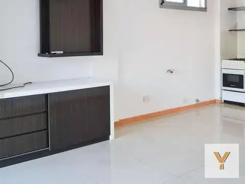 Villarroel y Darwin