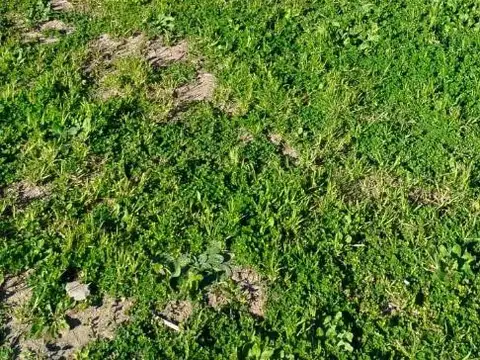 Terreno en Venta de 323,0 m2