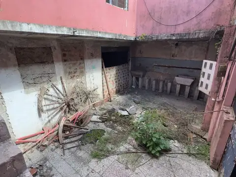 Moisés Lebensohn 100