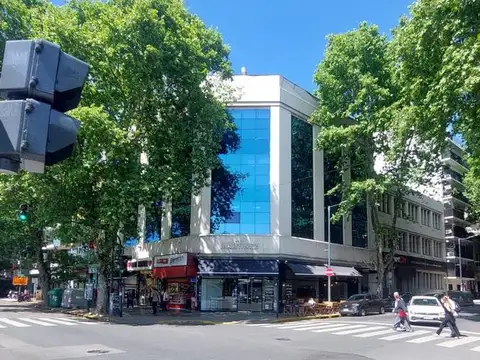 Oficina en alquiler - 8 Despachos 2 Baños - Palermo