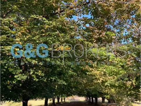 Campo en Venta de 60  ha