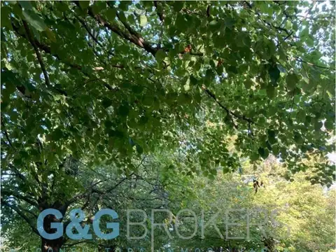 Campo en Venta de 60  ha