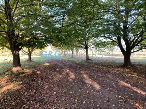 IDEAL DESARROLLO URBANISTICO