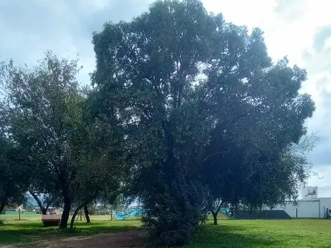 Terreno en Venta de 700,0 m2