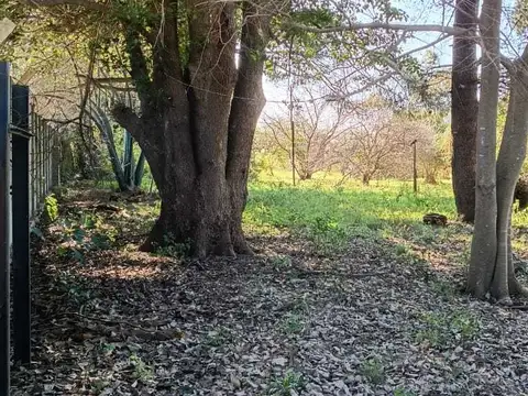 Terreno en José Ingenieros 2600