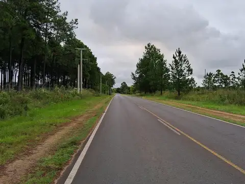 Campo en Las Tejas