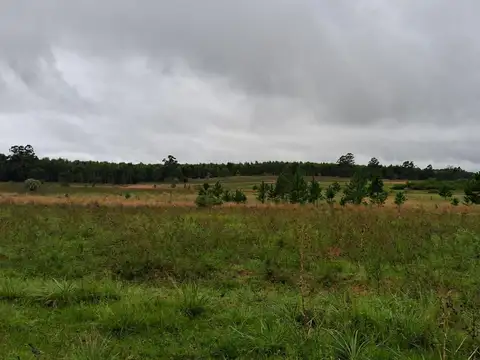 Campo en Las Tejas