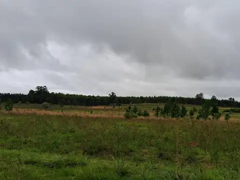 Campo en Las Tejas