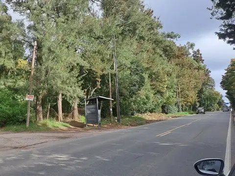 Terreno en Venta 37  mts Fondo