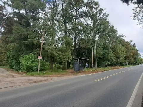 Camino General Belgrano y al 400