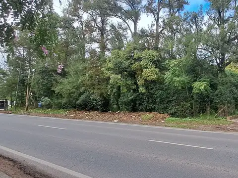 Lote en Venta en Villa Elisa