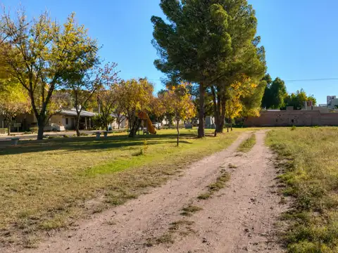 Terreno en Venta en General Alvear, Mendoza