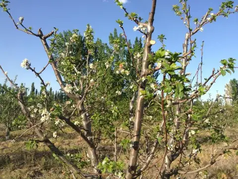 Terreno en Venta de 140000,0 m2