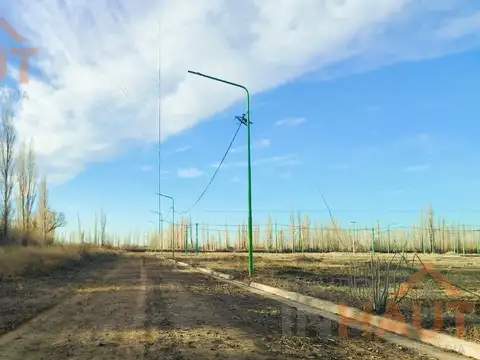 Terreno en Venta 12  mts Frente