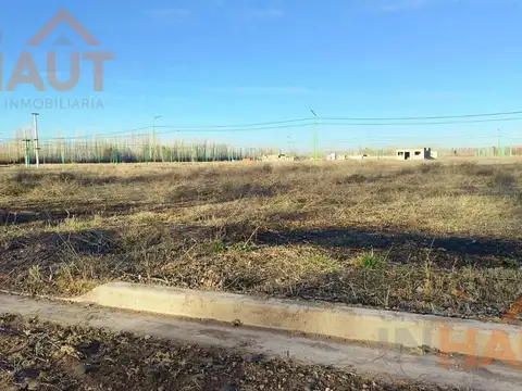 Terreno en Venta 25  mts Fondo