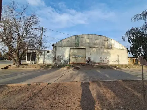 Fuerza Aérea 100