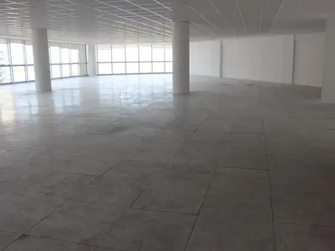 Oficina en Alquiler al Sureste